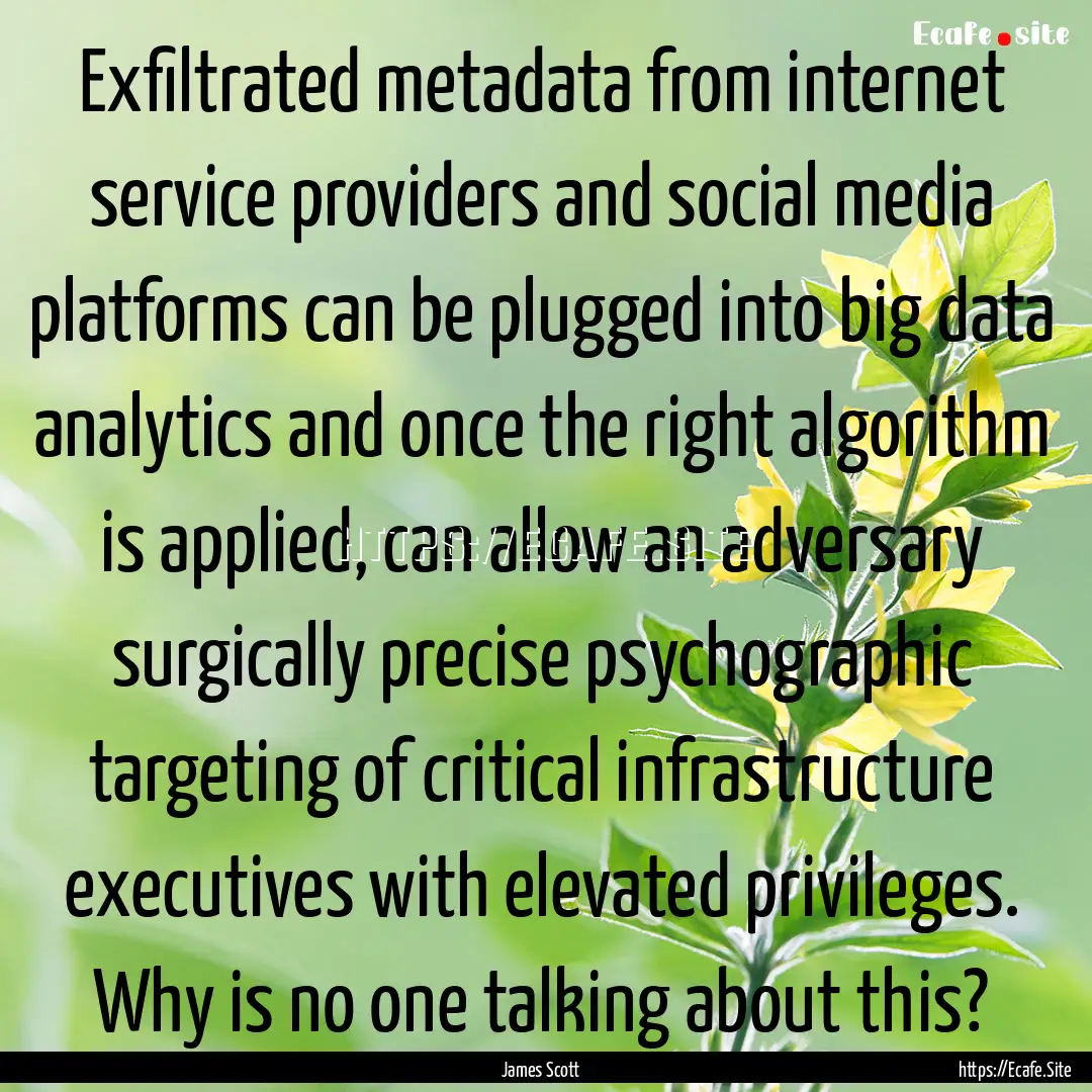 Exfiltrated metadata from internet service.... : Quote by James Scott