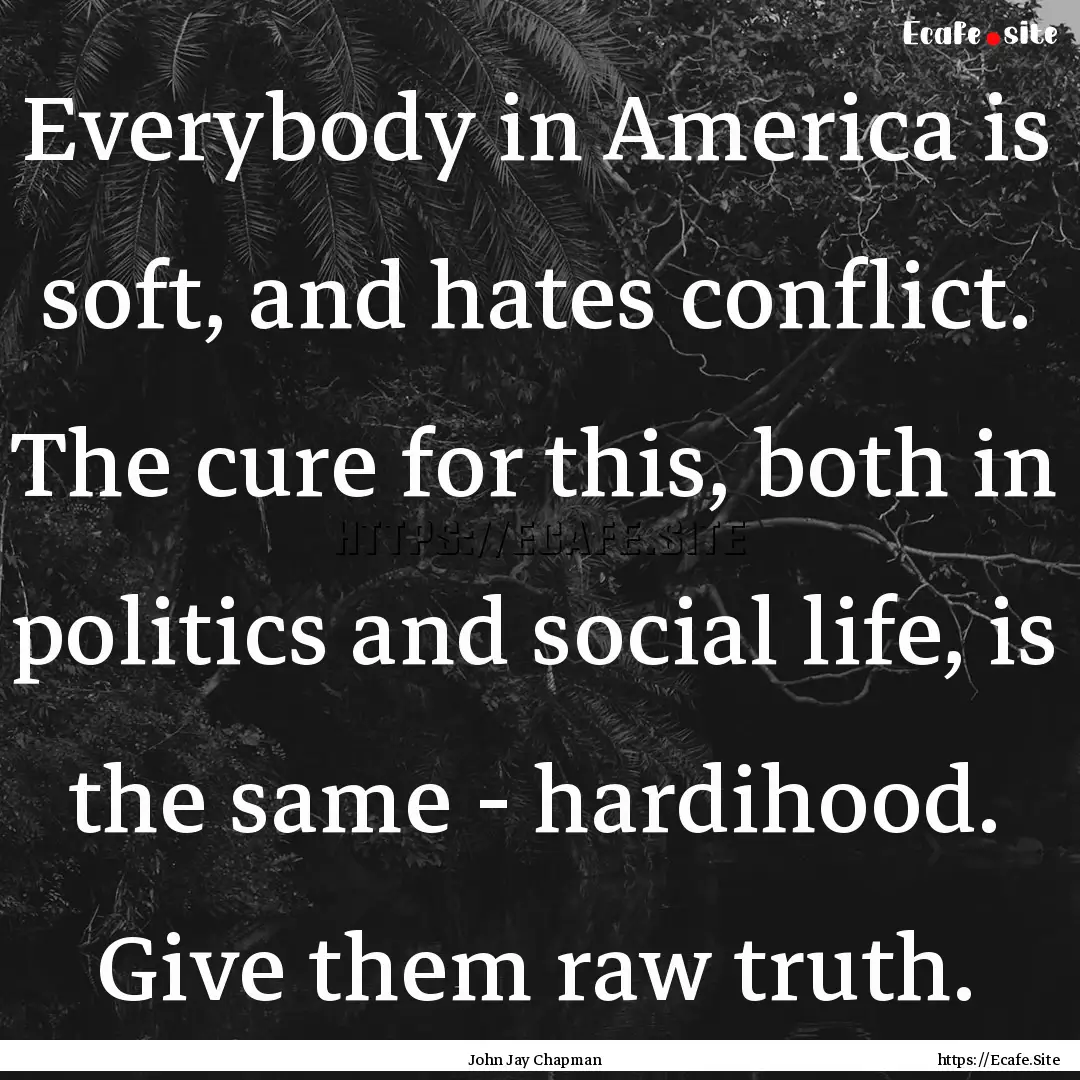 Everybody in America is soft, and hates conflict..... : Quote by John Jay Chapman