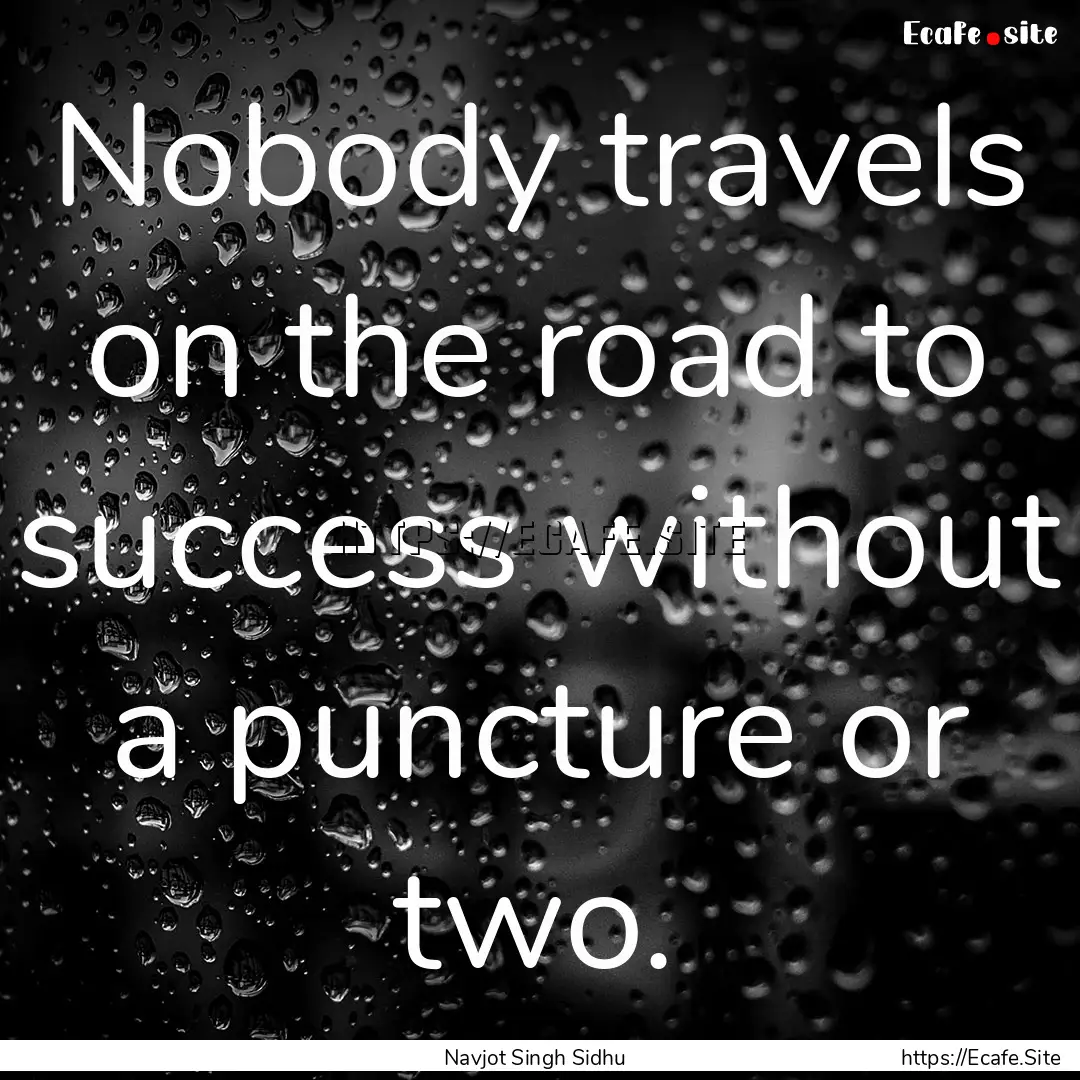 Nobody travels on the road to success without.... : Quote by Navjot Singh Sidhu