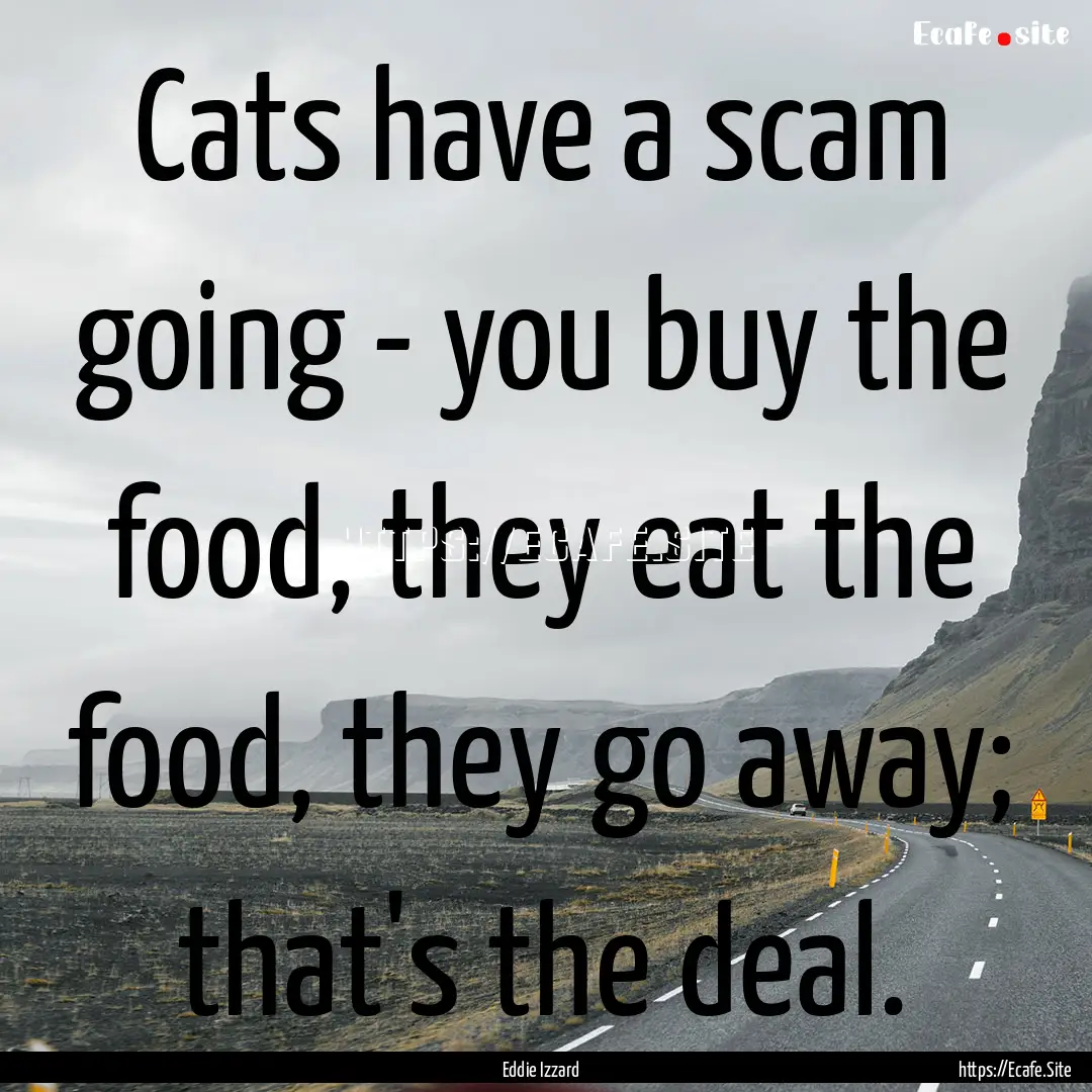 Cats have a scam going - you buy the food,.... : Quote by Eddie Izzard