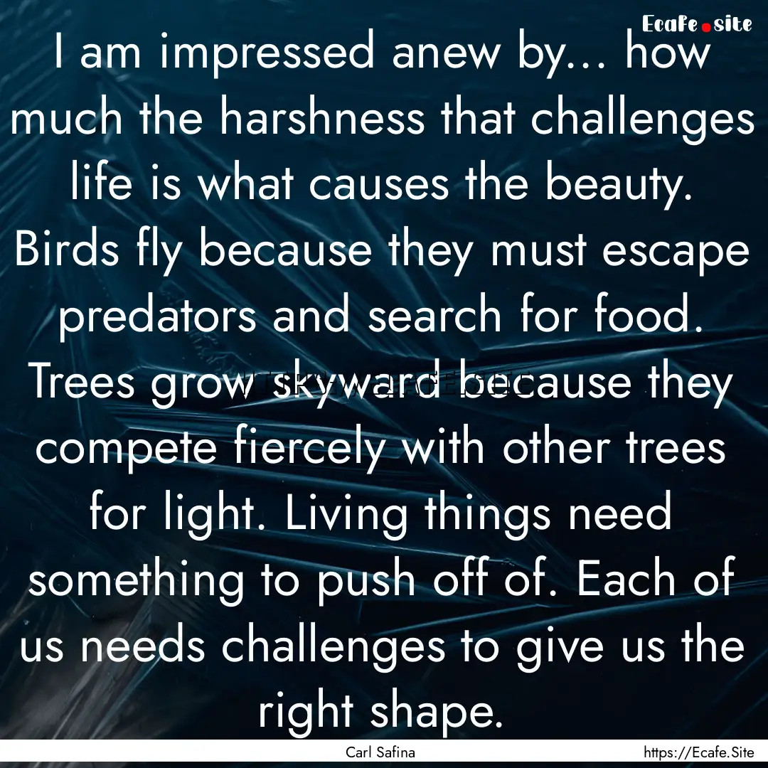 I am impressed anew by... how much the harshness.... : Quote by Carl Safina