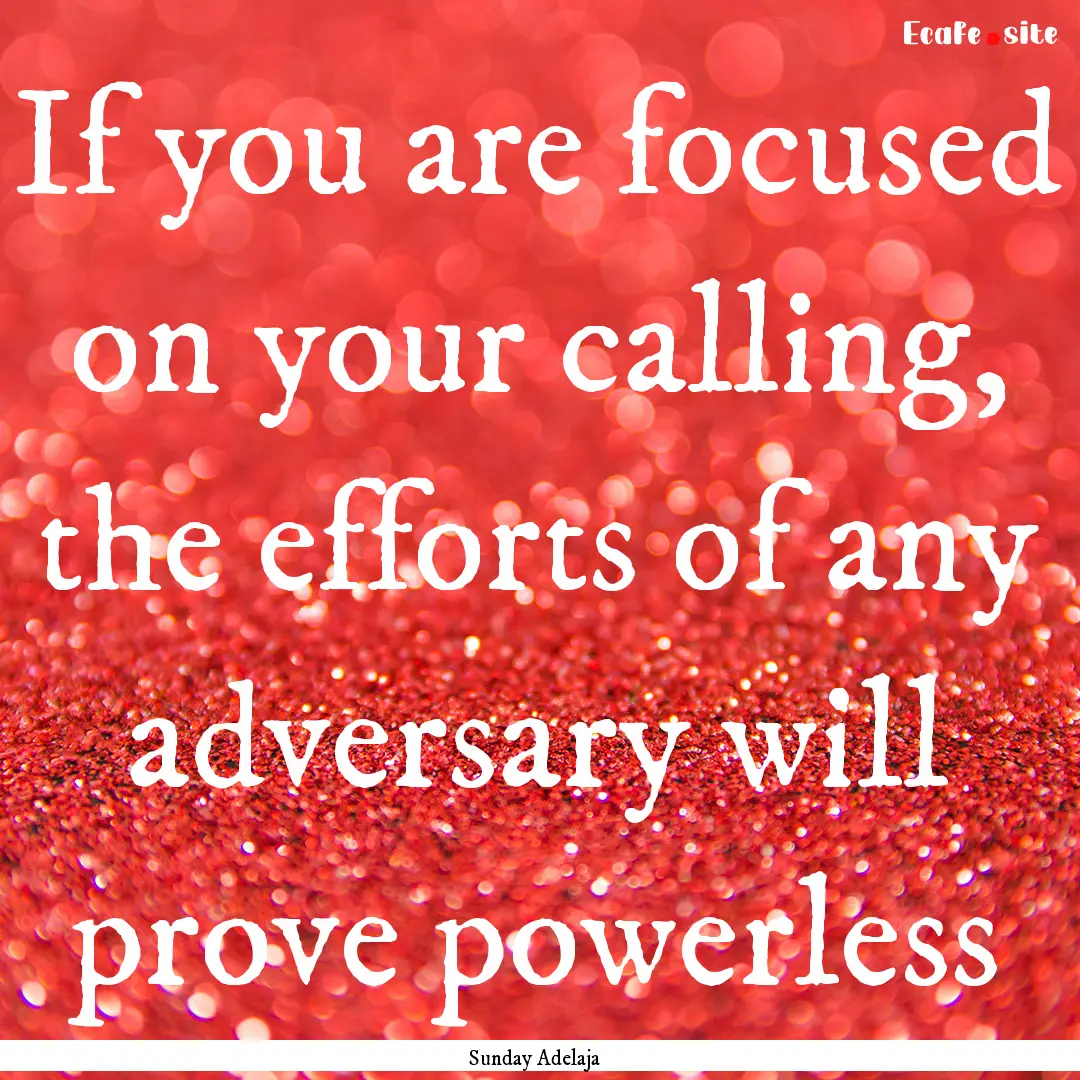 If you are focused on your calling, the efforts.... : Quote by Sunday Adelaja