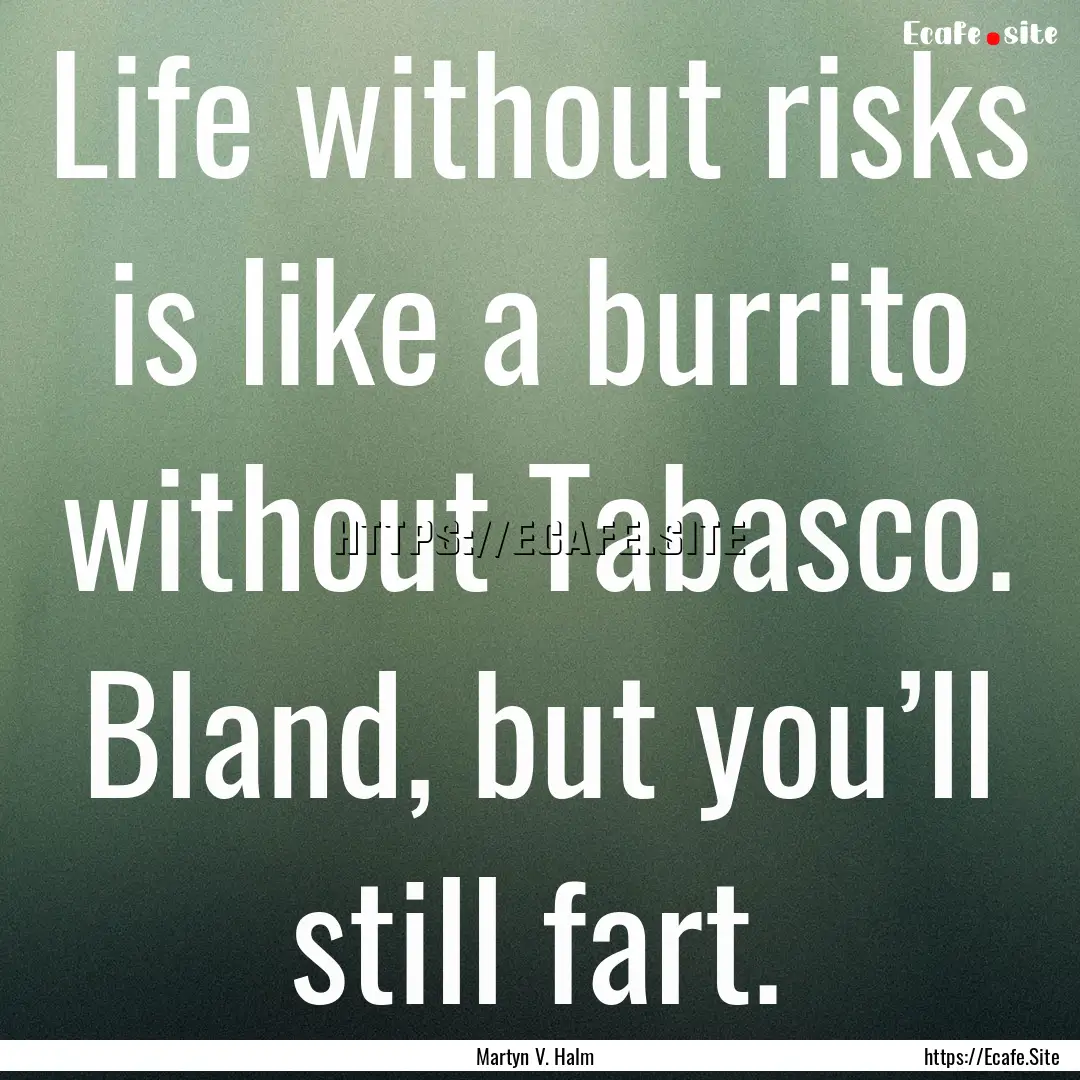 Life without risks is like a burrito without.... : Quote by Martyn V. Halm