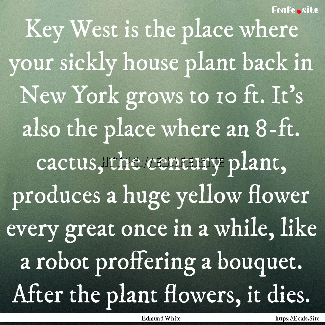 Key West is the place where your sickly house.... : Quote by Edmund White