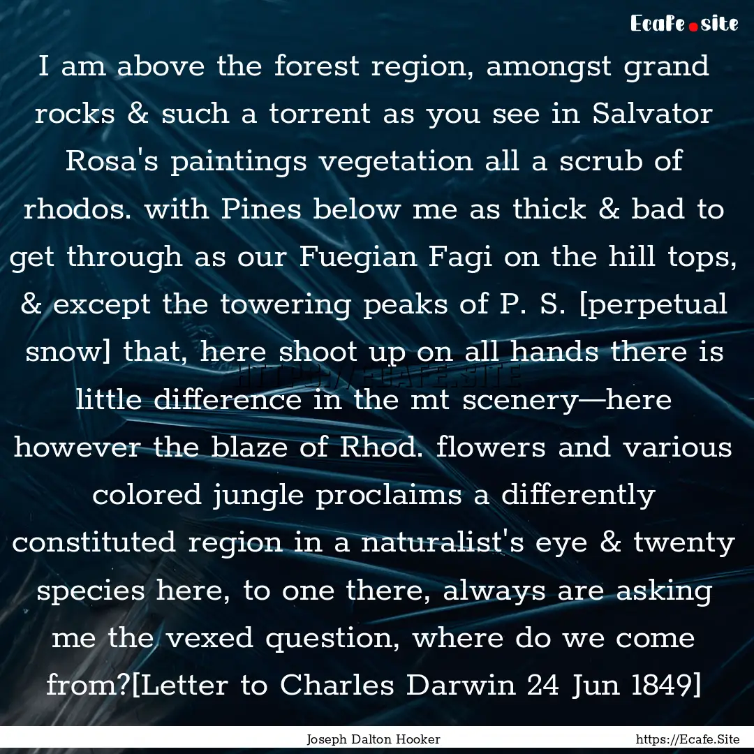 I am above the forest region, amongst grand.... : Quote by Joseph Dalton Hooker