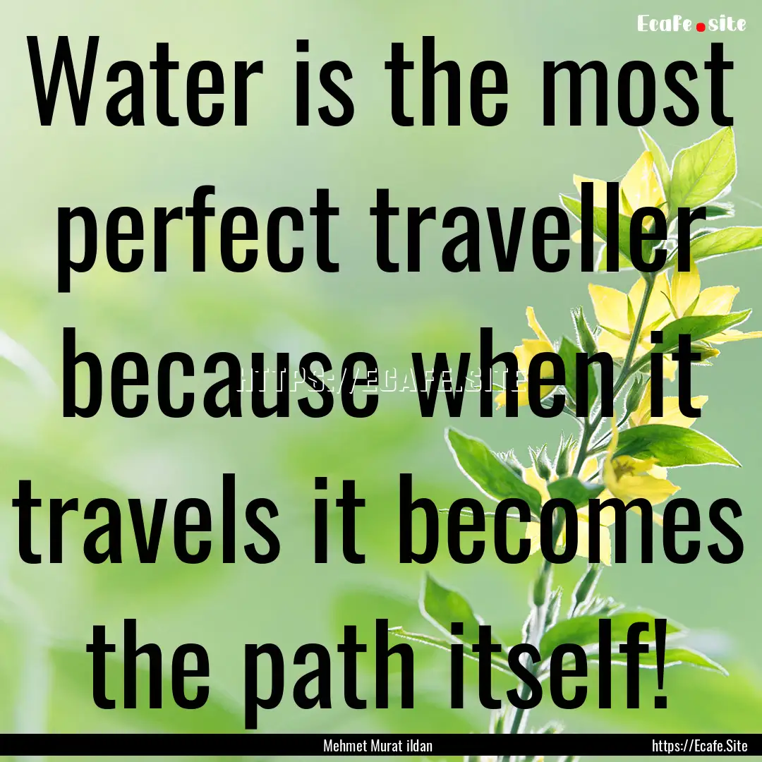 Water is the most perfect traveller because.... : Quote by Mehmet Murat ildan