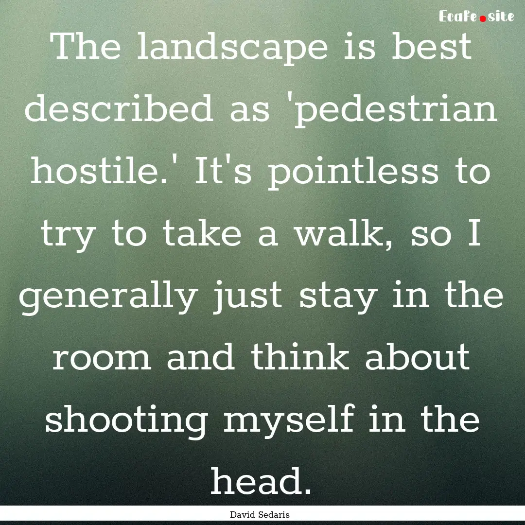 The landscape is best described as 'pedestrian.... : Quote by David Sedaris