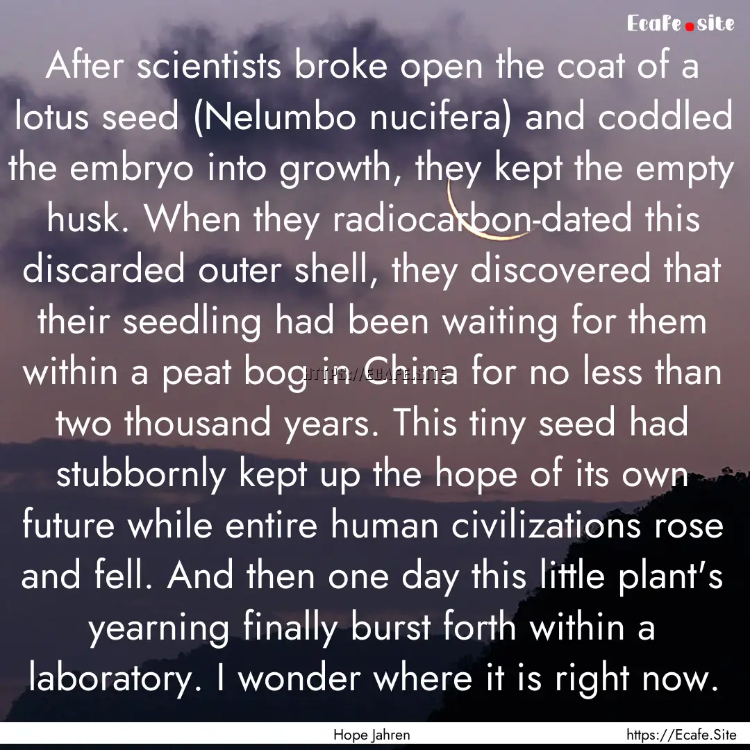 After scientists broke open the coat of a.... : Quote by Hope Jahren