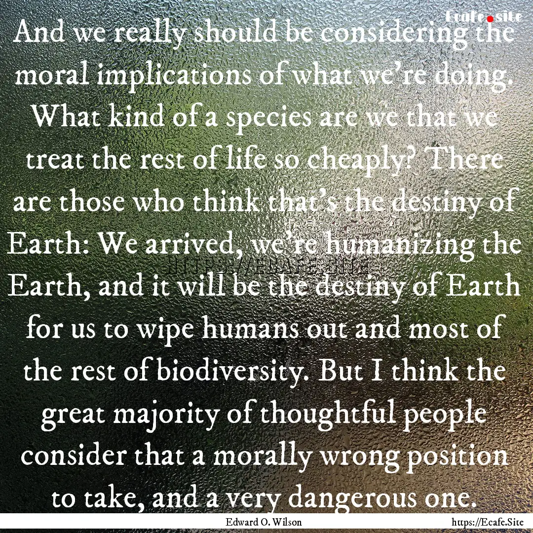 And we really should be considering the moral.... : Quote by Edward O. Wilson