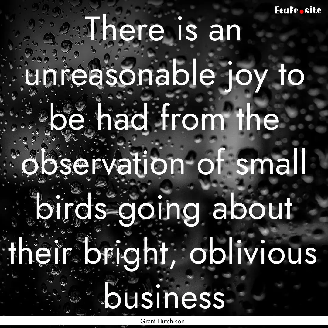 There is an unreasonable joy to be had from.... : Quote by Grant Hutchison