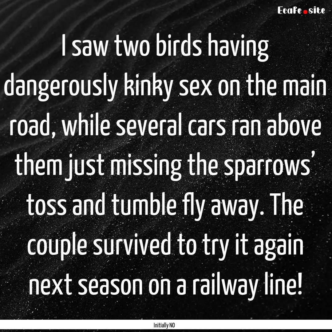 I saw two birds having dangerously kinky.... : Quote by Initially NO