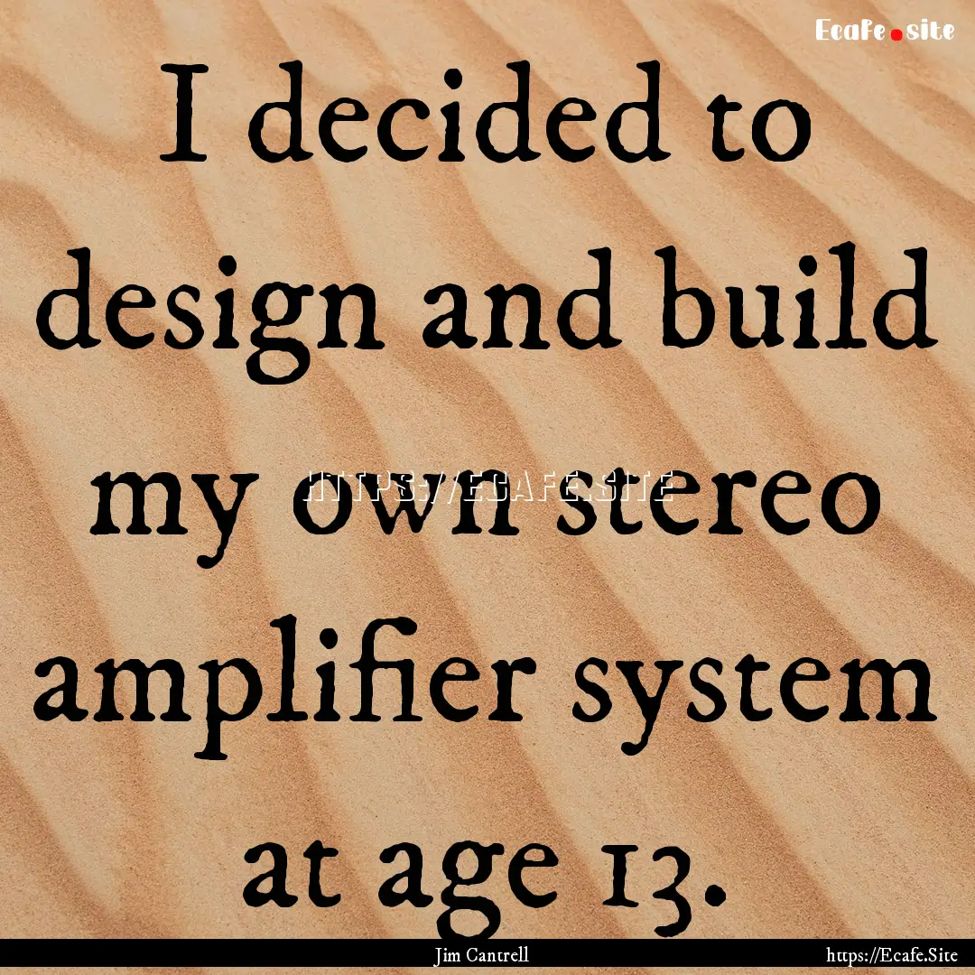 I decided to design and build my own stereo.... : Quote by Jim Cantrell