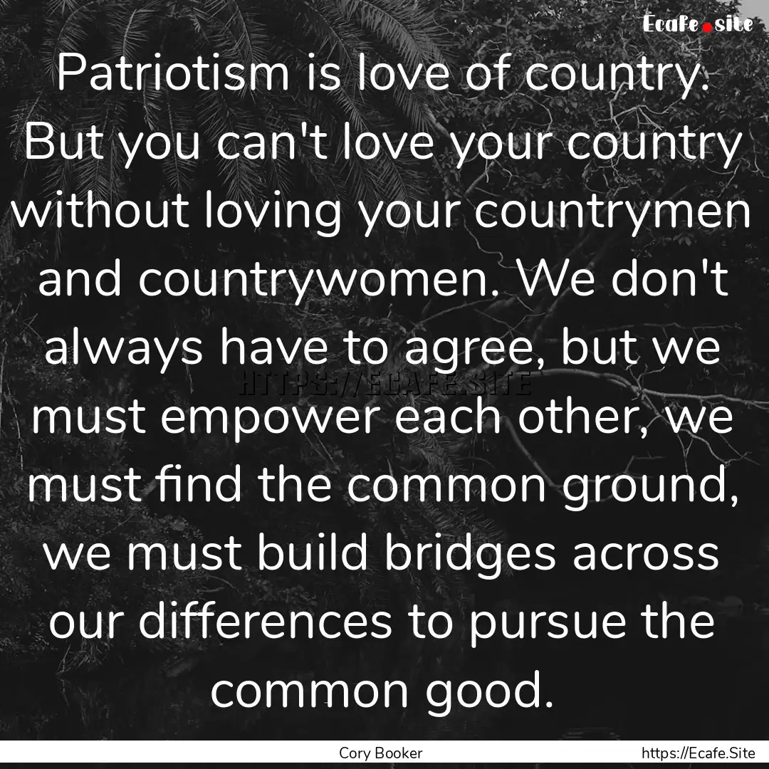 Patriotism is love of country. But you can't.... : Quote by Cory Booker