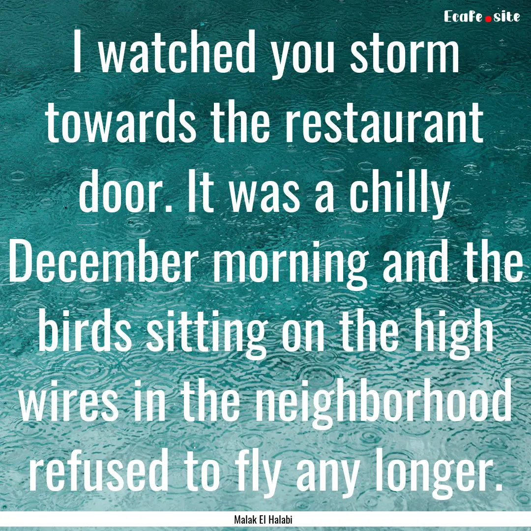 I watched you storm towards the restaurant.... : Quote by Malak El Halabi