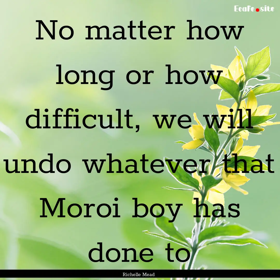 No matter how long or how difficult, we will.... : Quote by Richelle Mead