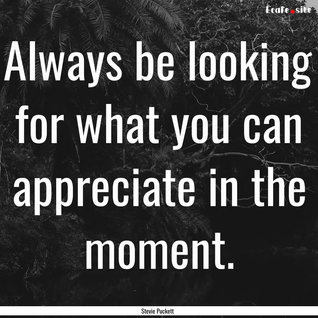 Always be looking for what you can appreciate.... : Quote by Stevie Puckett