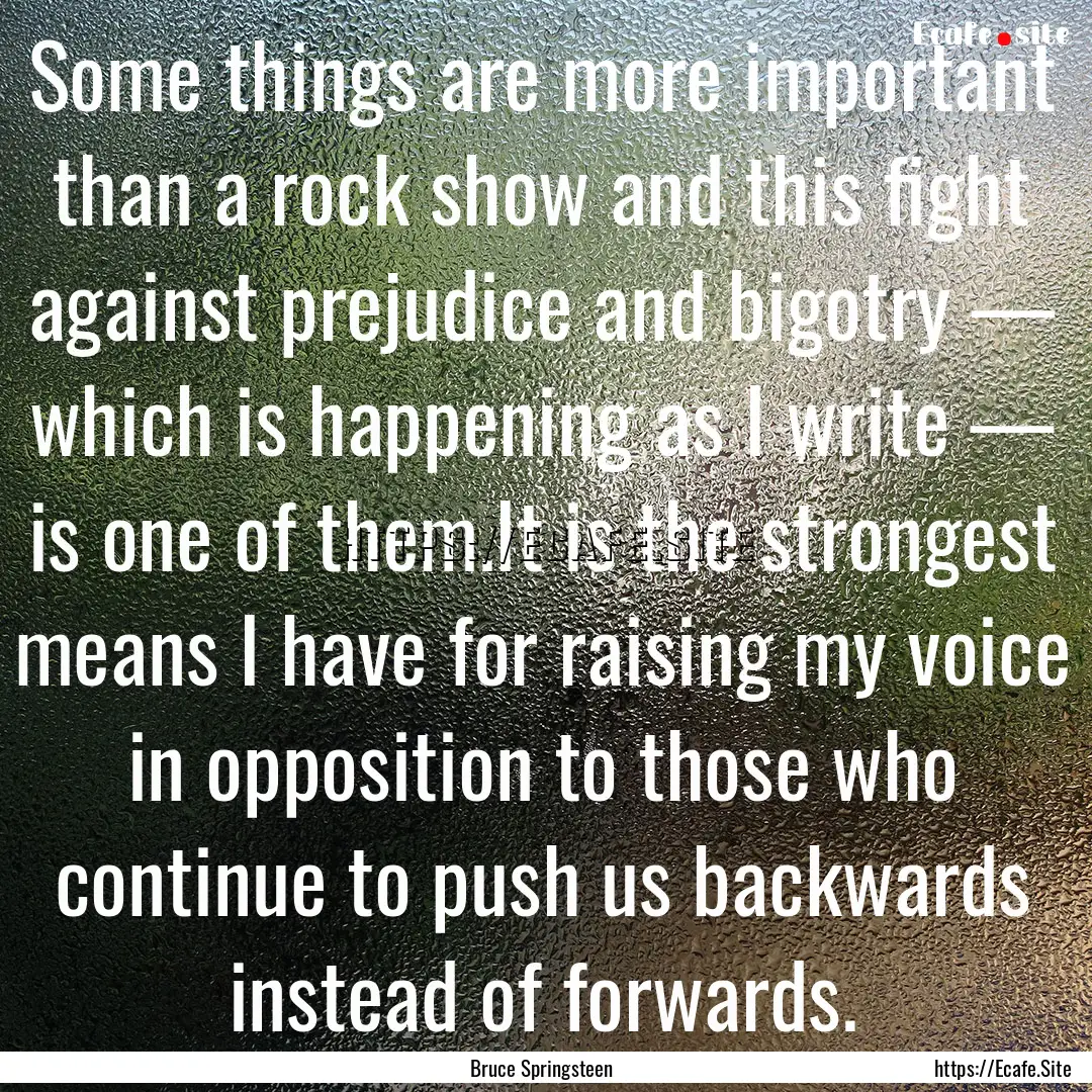 Some things are more important than a rock.... : Quote by Bruce Springsteen