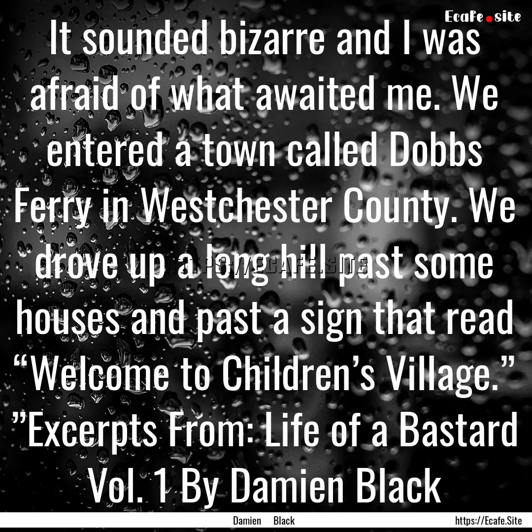 It sounded bizarre and I was afraid of what.... : Quote by Damien Black