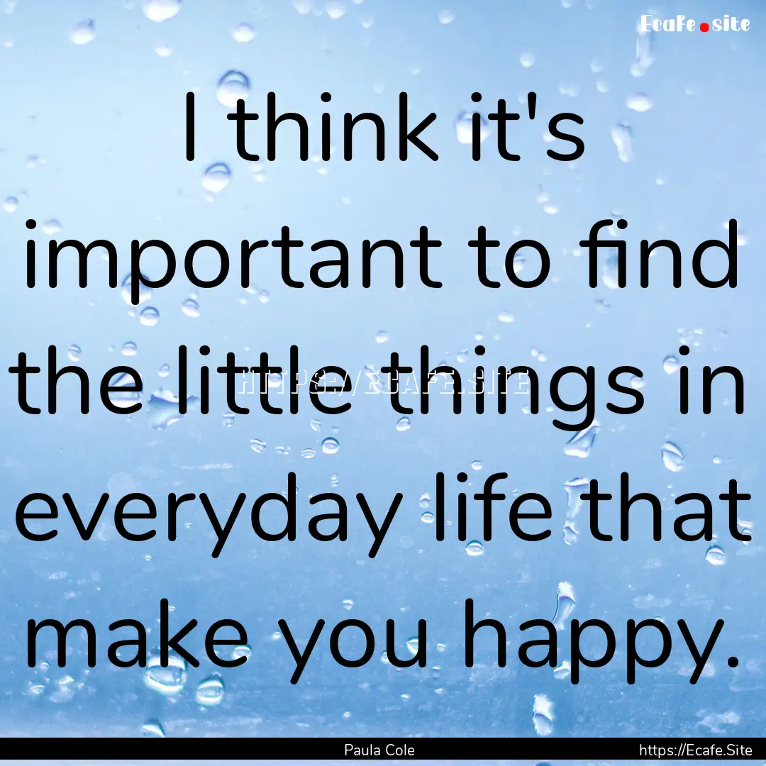 I think it's important to find the little.... : Quote by Paula Cole