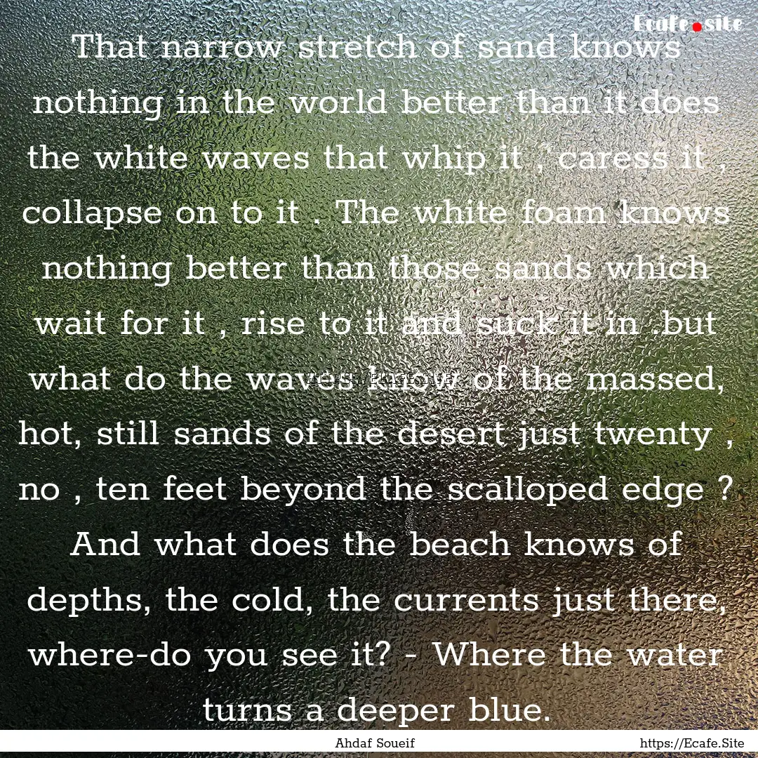 That narrow stretch of sand knows nothing.... : Quote by Ahdaf Soueif