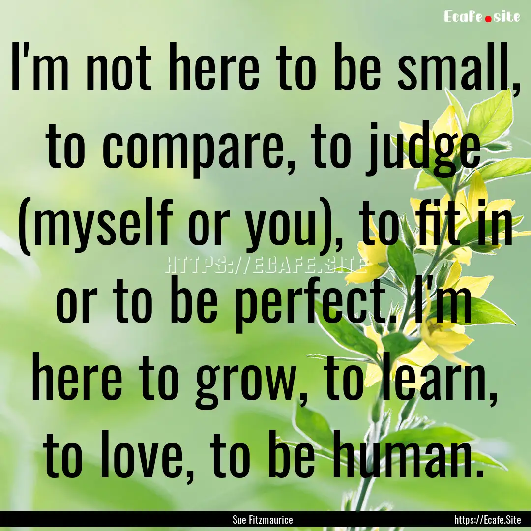 I'm not here to be small, to compare, to.... : Quote by Sue Fitzmaurice