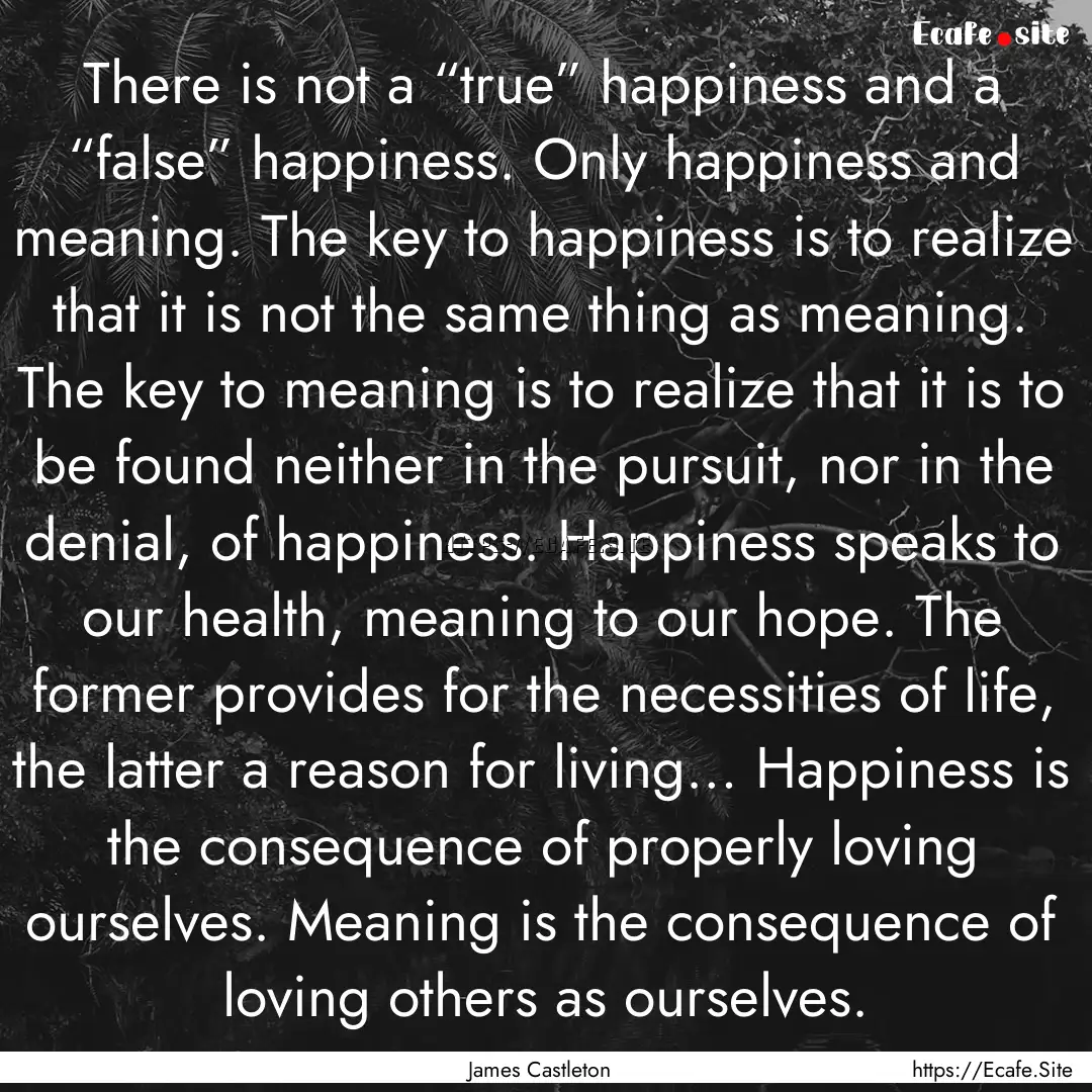 There is not a “true” happiness and a.... : Quote by James Castleton