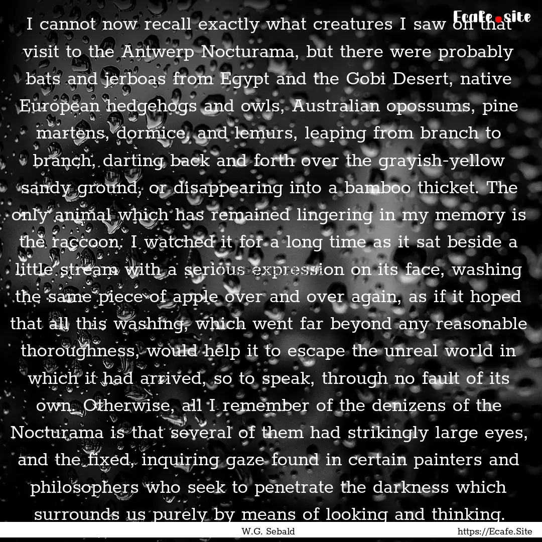 I cannot now recall exactly what creatures.... : Quote by W.G. Sebald