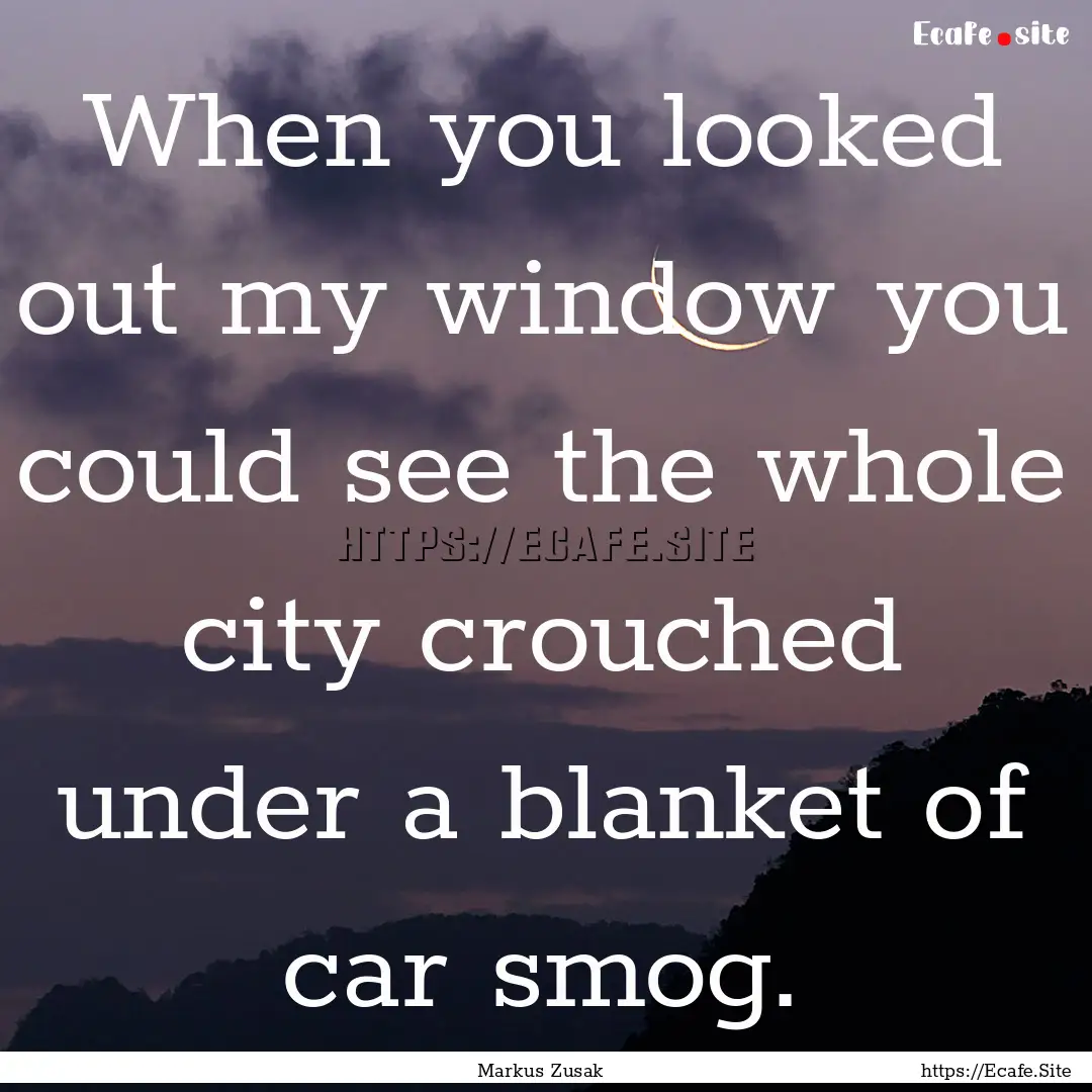 When you looked out my window you could see.... : Quote by Markus Zusak