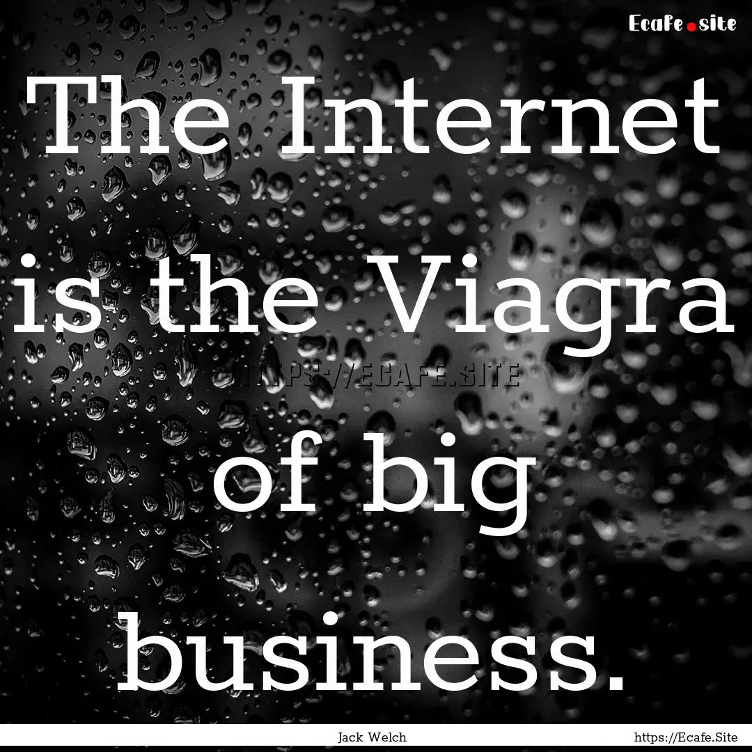 The Internet is the Viagra of big business..... : Quote by Jack Welch