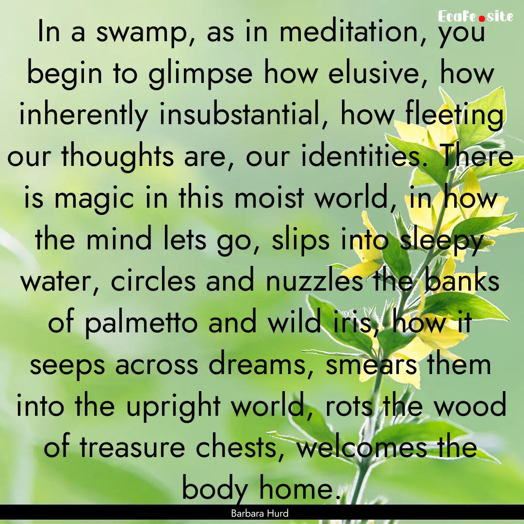 In a swamp, as in meditation, you begin to.... : Quote by Barbara Hurd