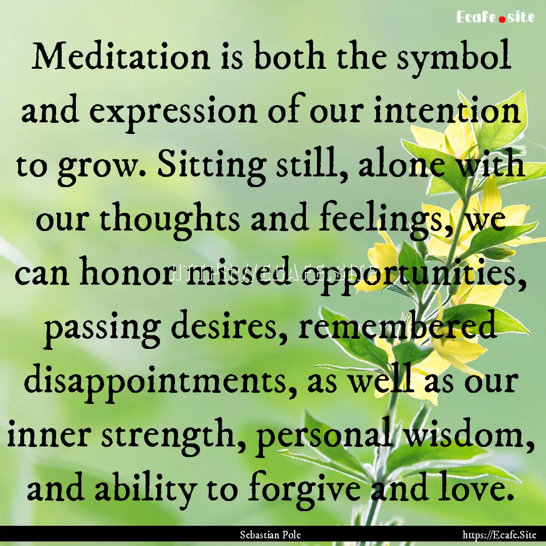 Meditation is both the symbol and expression.... : Quote by Sebastian Pole