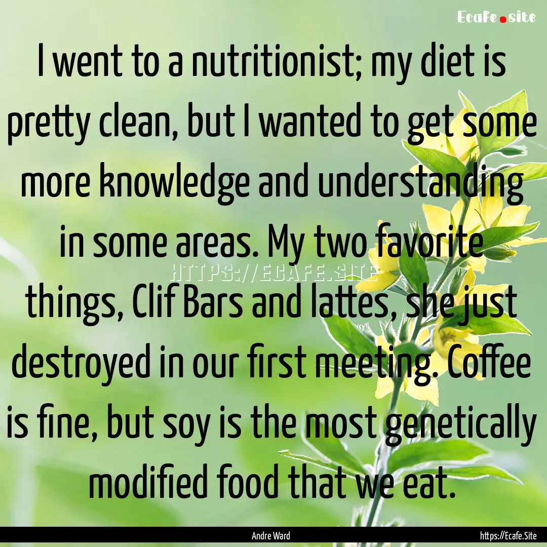 I went to a nutritionist; my diet is pretty.... : Quote by Andre Ward