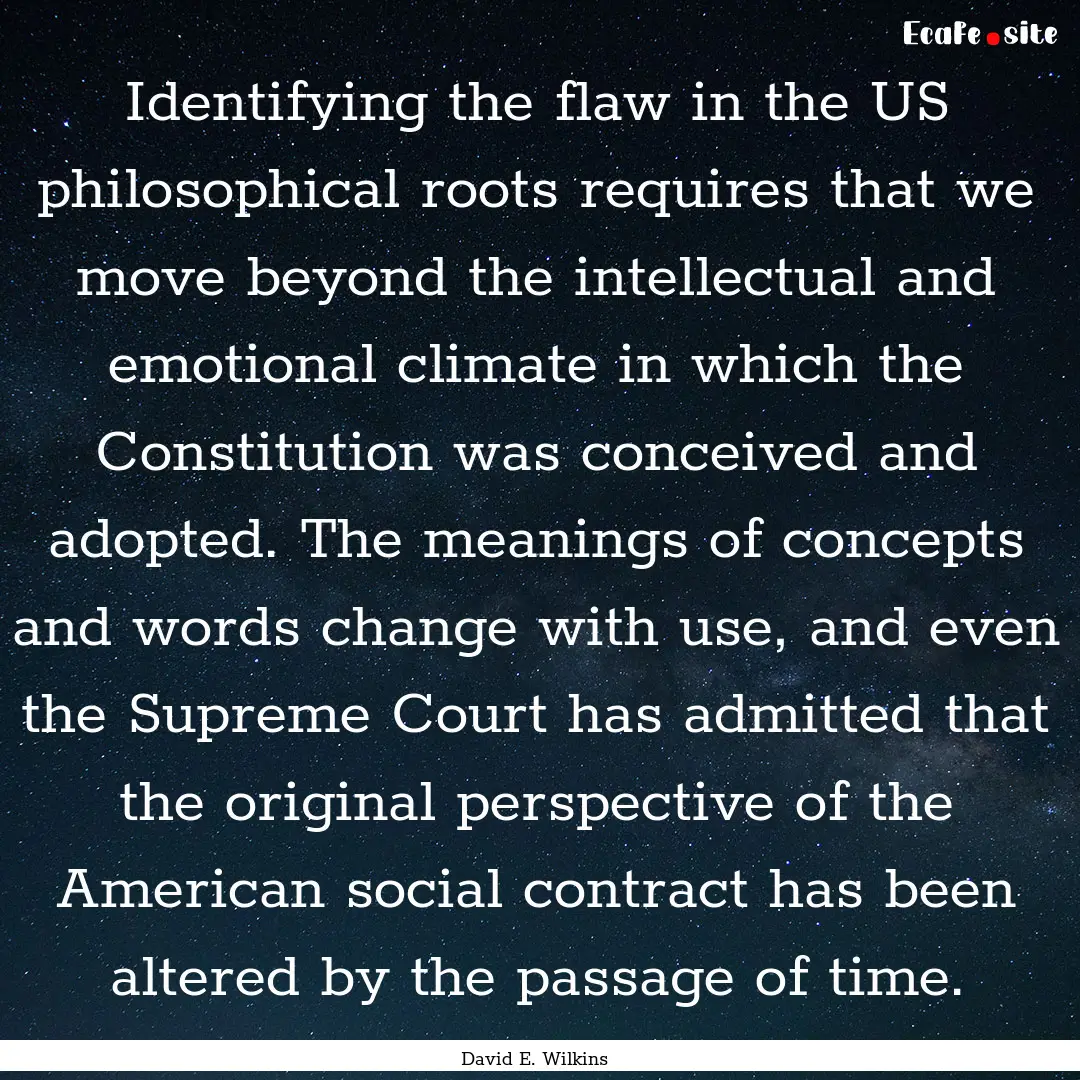 Identifying the flaw in the US philosophical.... : Quote by David E. Wilkins