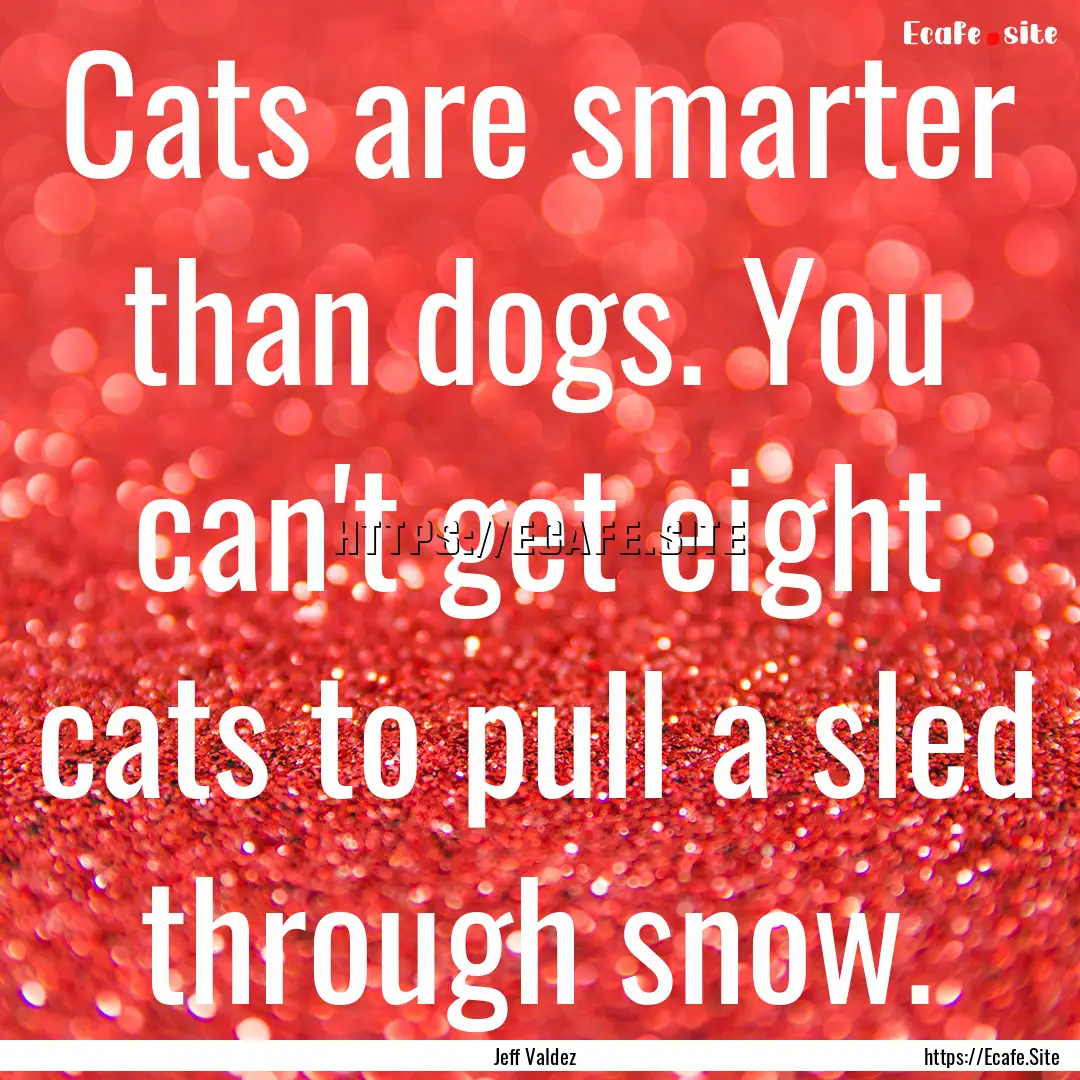 Cats are smarter than dogs. You can't get.... : Quote by Jeff Valdez