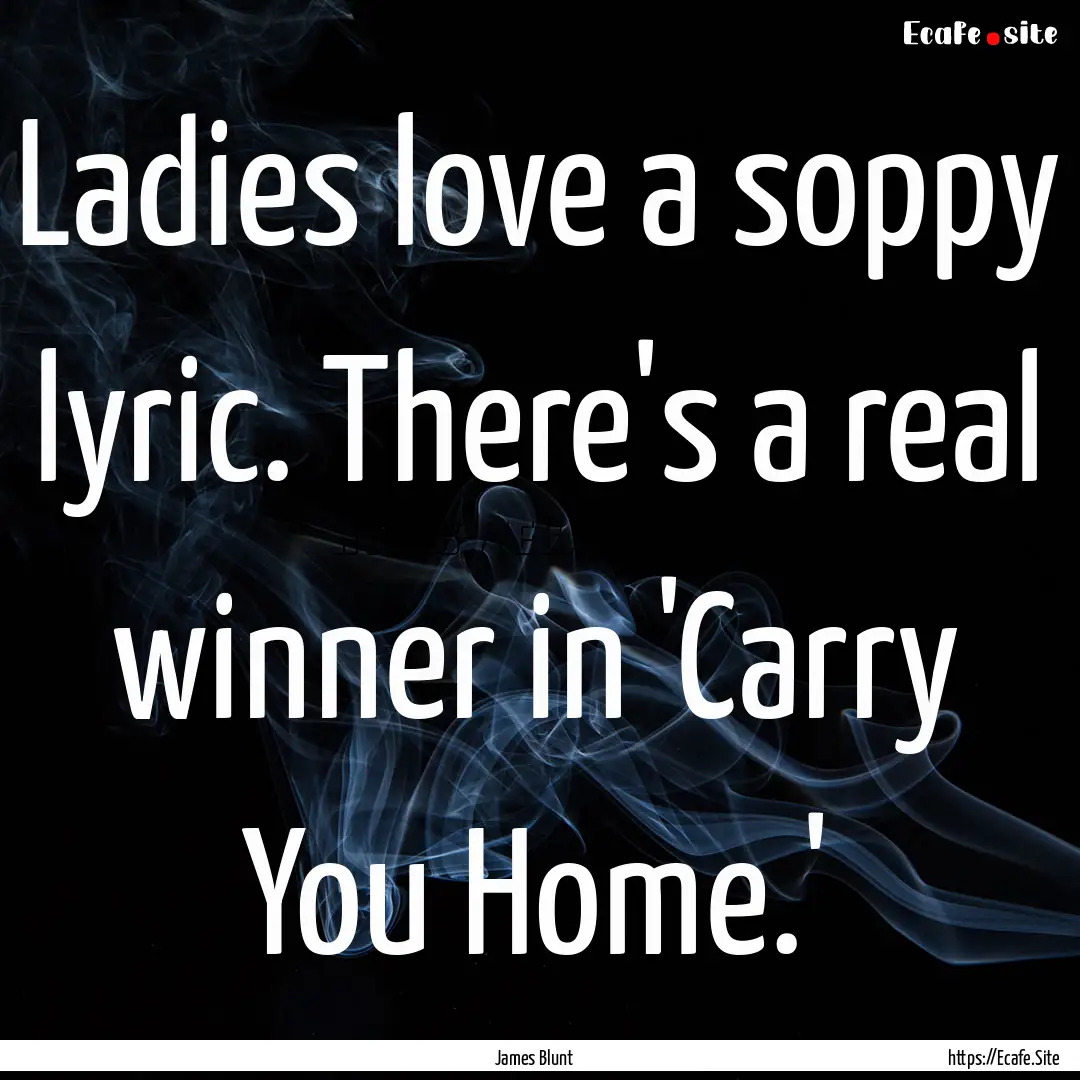 Ladies love a soppy lyric. There's a real.... : Quote by James Blunt