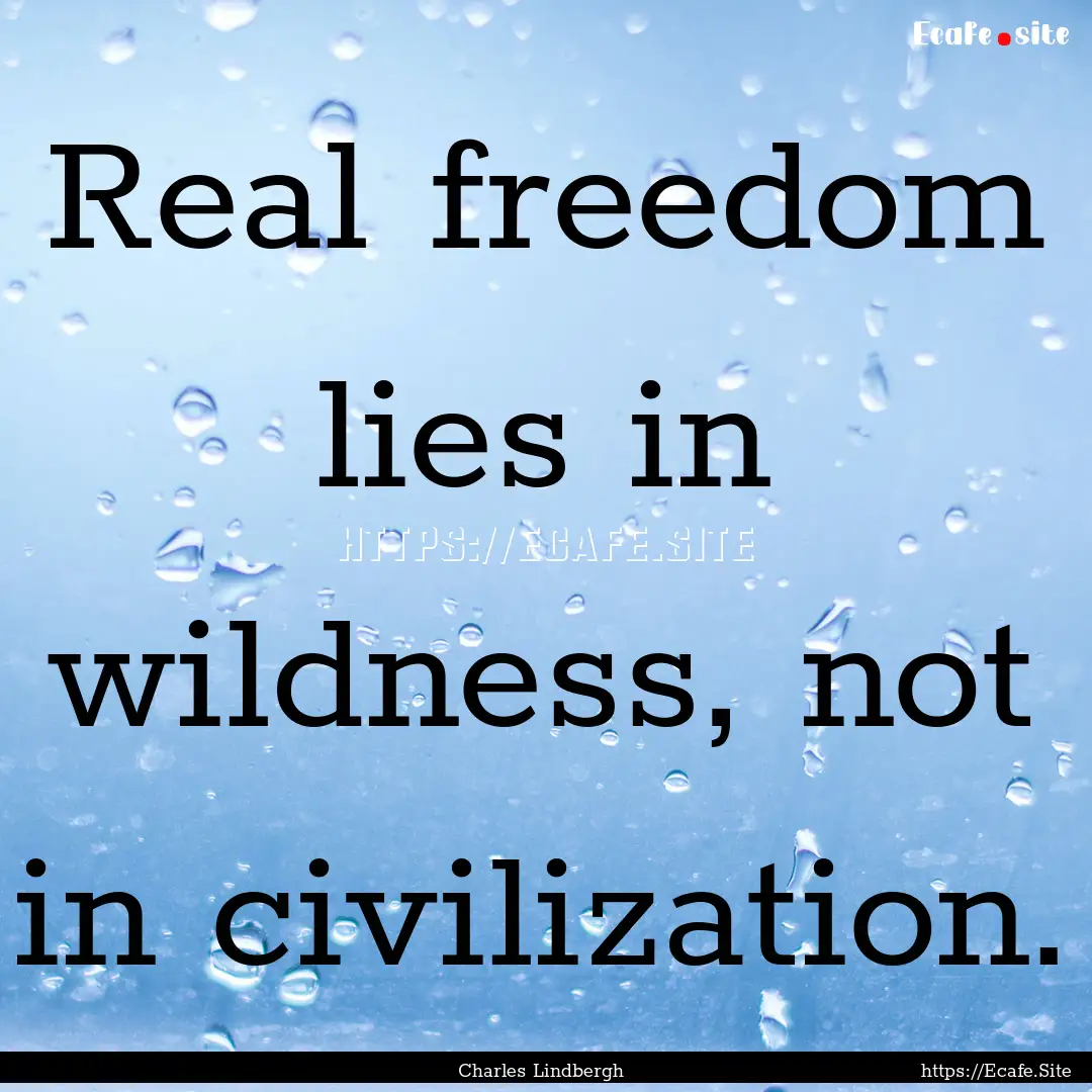 Real freedom lies in wildness, not in civilization..... : Quote by Charles Lindbergh