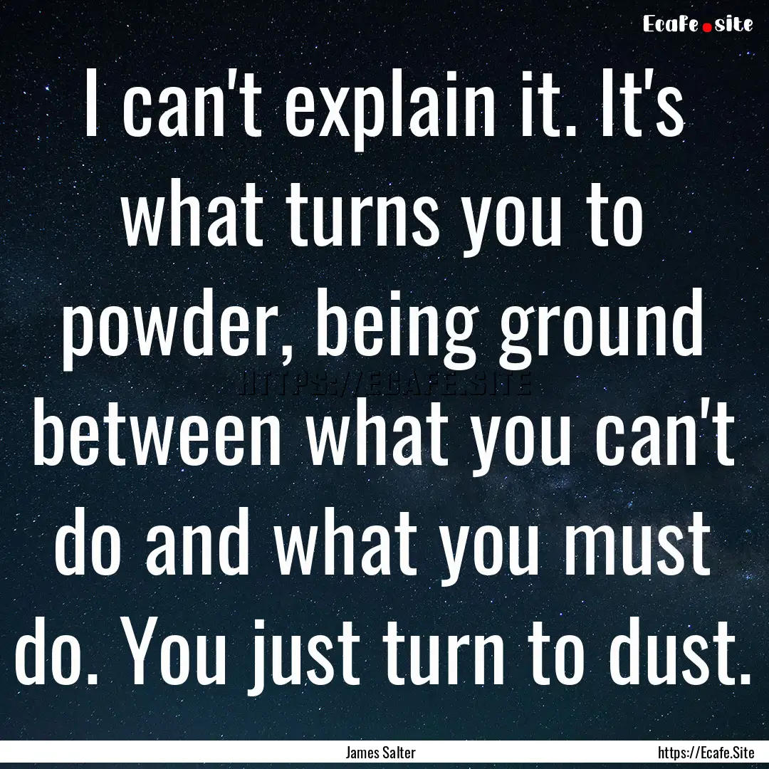 I can't explain it. It's what turns you to.... : Quote by James Salter