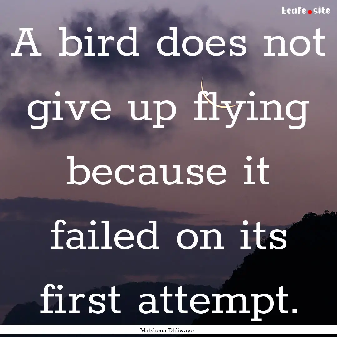 A bird does not give up flying because it.... : Quote by Matshona Dhliwayo