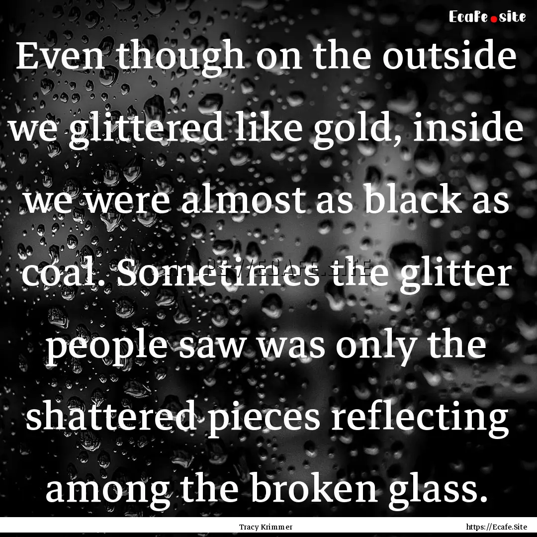 Even though on the outside we glittered like.... : Quote by Tracy Krimmer