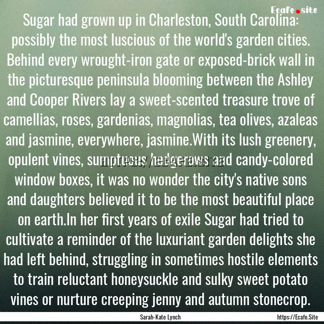 Sugar had grown up in Charleston, South Carolina:.... : Quote by Sarah-Kate Lynch