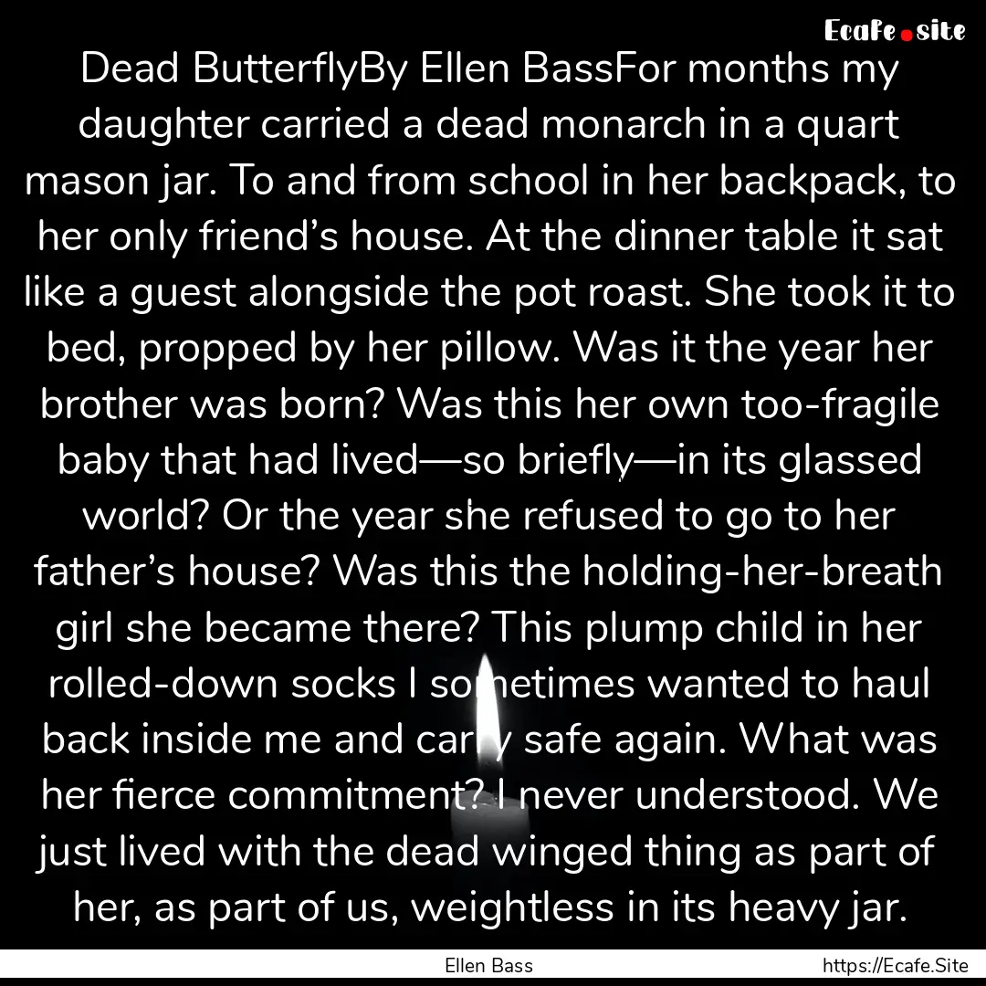 Dead ButterflyBy Ellen BassFor months my.... : Quote by Ellen Bass