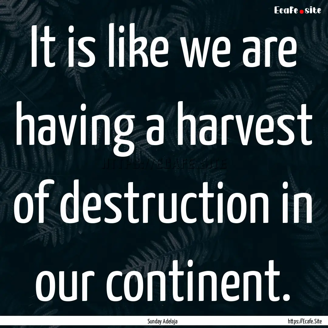 It is like we are having a harvest of destruction.... : Quote by Sunday Adelaja