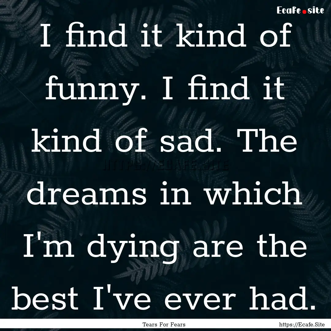 I find it kind of funny. I find it kind of.... : Quote by Tears For Fears