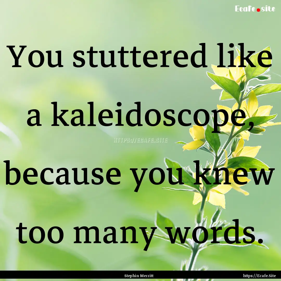 You stuttered like a kaleidoscope, because.... : Quote by Stephin Merritt