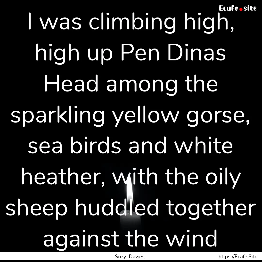 I was climbing high, high up Pen Dinas Head.... : Quote by Suzy Davies