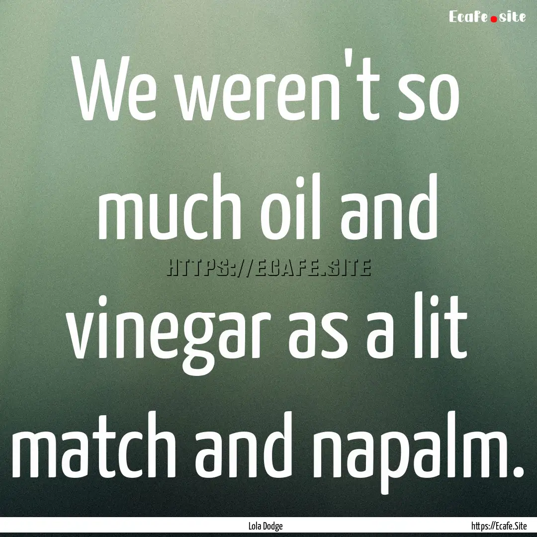 We weren't so much oil and vinegar as a lit.... : Quote by Lola Dodge