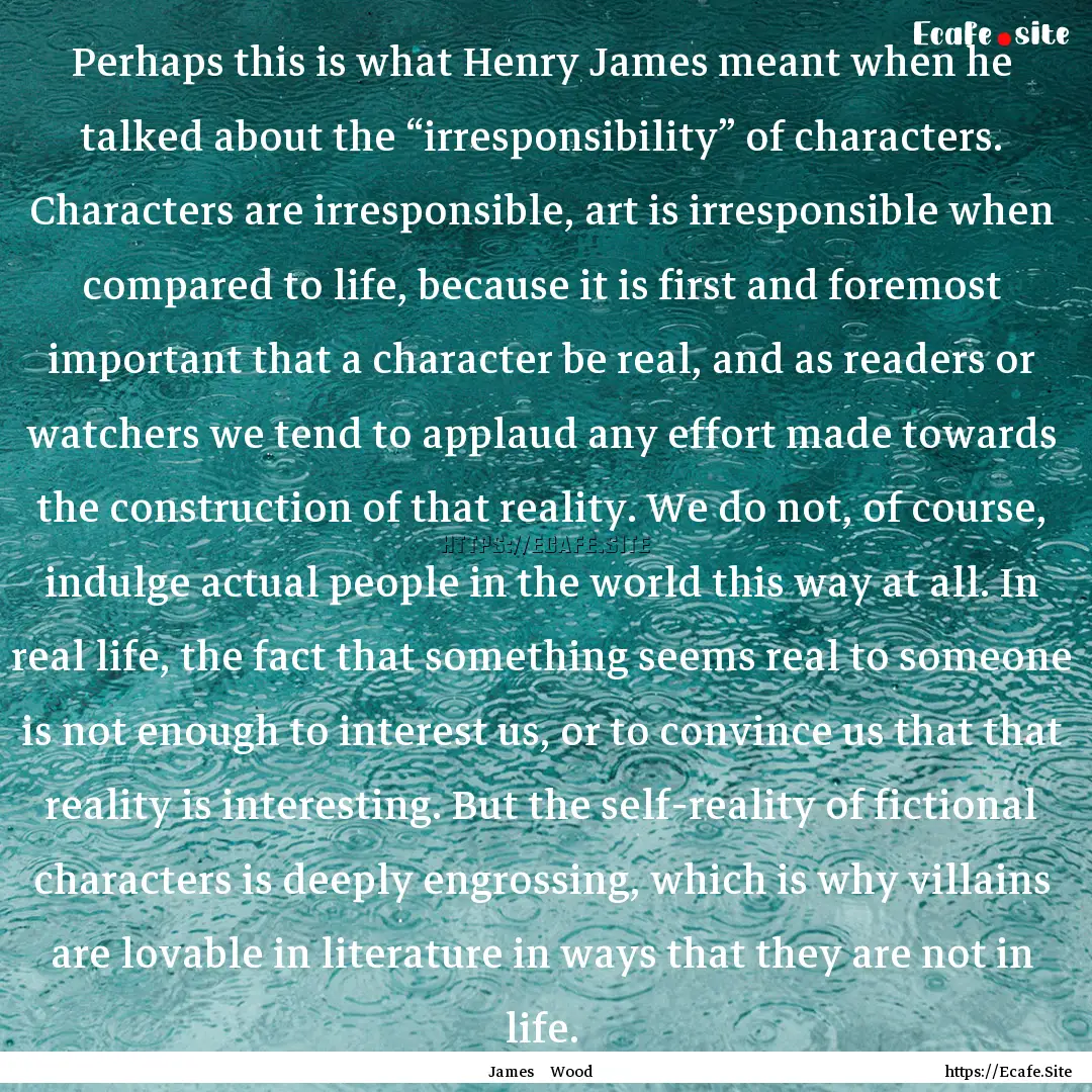 Perhaps this is what Henry James meant when.... : Quote by James Wood