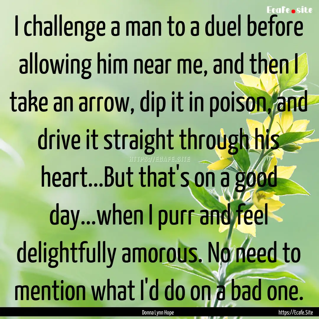 I challenge a man to a duel before allowing.... : Quote by Donna Lynn Hope