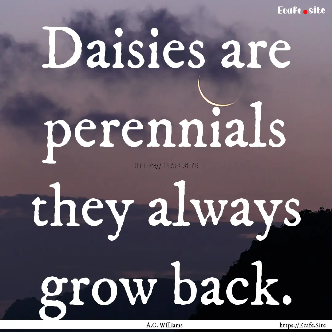 Daisies are perennials they always grow back..... : Quote by A.C. Williams