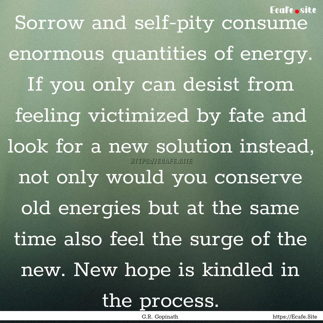 Sorrow and self-pity consume enormous quantities.... : Quote by G.R. Gopinath